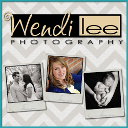 wendi lee photography button